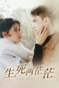 ������ãã