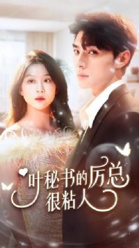 Ҷ��������ܺ�����