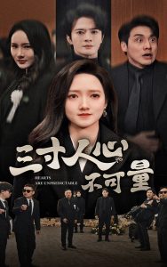 �������Ĳ�����