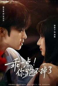 ��һ�����ܲ�����