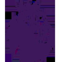 Ӣ�� ������vs��˹��ά��20251102