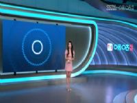 Ӣ������ ��ɭ��VS������ 20241214