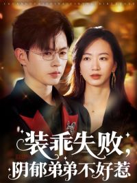 װ��ʧ�������ܵܲ�����